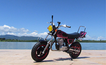 北風舎_HONDA APE 50‘05 